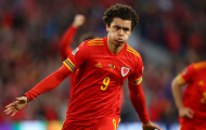 'Brennan Johnson muốn đến Spurs hơn Chelsea'