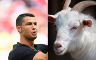 Thủ môn MU: 'Ronaldo là G.O.A.T'