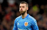 Những cựu sao Premier League đang thất nghiệp: 4 người cũ Man Utd