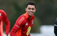 Brennan Johnson và sứ mệnh thay Bale gánh vác xứ Wales