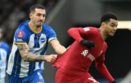 Brighton có thể là trở ngại lớn cho Liverpool trong cuộc đua vô địch