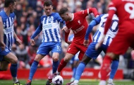 HLV Brighton choáng ngợp trước 1 cầu thủ Liverpool 
