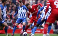 HLV Brighton choáng ngợp trước 1 cầu thủ Liverpool