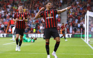 Mùa giải xuất sắc của Dominic Solanke