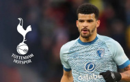 Solanke sẽ mang tới điều gì cho Tottenham?