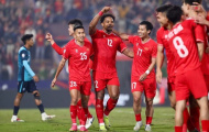 Việt Nam và hành trình đứng trước cửa vô địch AFF Cup 2024