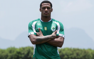 Bầu Đức 'phá két' 20 tỷ, HAGL đón 2 ngoại binh Brazil chất lượng