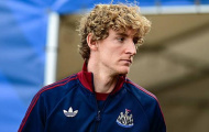 Newcastle mất Anthony Gordon ở trận gặp Arsenal