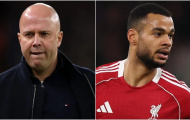 Cody Gakpo phá vỡ im lặng vụ Liverpool sa thải Arne Slot