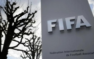 FIFA công bố thay đổi lịch sử quy chế chuyển nhượng