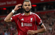 Liverpool quyết giữ chân Gakpo sau kỳ World Cup thăng hoa