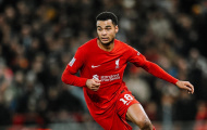 Romano hé lộ điều kiện để Tottenham chiêu mộ Gakpo