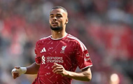 Đằng sau quyết định đưa Gakpo vào tầm ngắm của Tottenham