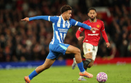 Sheringham tiến cử tiền đạo 100 triệu bảng từ Brighton cho MU