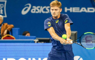Goffin bất ngờ đánh bại Dimitrov ở tứ kết
