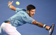 Djokovic nhọc nhằn vượt ải Del Potro