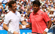 Verdasco đụng Murray trong trận tranh vô địch