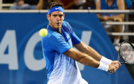 Del Potro mơ được chạm trán Federer