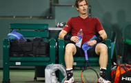 Andy Murray: Tôi không hiểu sao mình thất bại
