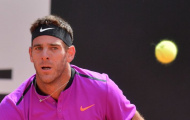Juan Martin del Potro bỏ ngõ khả năng dự Roland Garros