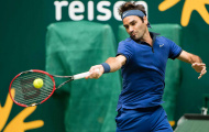 Mặt sân cỏ Halle Open: Nơi lòng tự tôn của Federer trỗi dậy