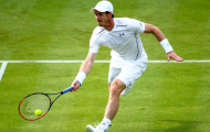 Federer dự đoán Murray sẽ bỏ Wimbledon
