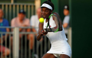Ngoài Bouchard, Wimbledon 2017 còn có Francois Abanda