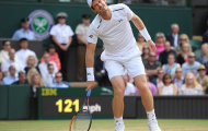 ĐỊA CHẤN: Murray dừng chân ở tứ kết Wimbledon