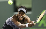 Venus Williams xuất sắc giành vé bán kết