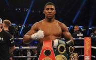 Nhà vô địch WBA muốn có được phong độ hủy diệt như Federer