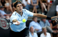 Juan Martin del Potro tiến sát danh hiệu vô địch ASB Classic