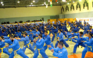 Vovinam đi tìm vùng đất mới