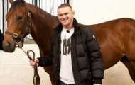 Rooney mua ngựa đua để đấu với Sir Alex Ferguson