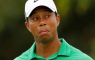 Tiger Woods là kẻ 'thô lỗ, rẻ tiền, dối trá'