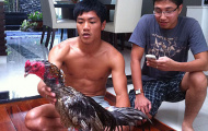 Ước mơ của Hải “gà”