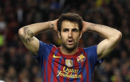 Lỗi tại anh, Cesc Fabregas?