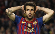 Fabregas chấn thương, lỡ loạt trận giao hữu trước EURO
