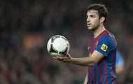 Fabregas mang tin vui cho tuyển Tây Ban Nha