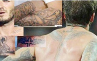 Triển lãm... họa bì của Becks