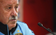 Vicente del Bosque khẳng định Fabregas sẵn sàng cho Euro 2012