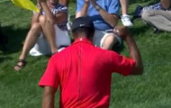 Video: Pha ghi điểm cực kỳ đẳng cấp của Tiger Woods