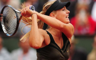 Sharapova đánh giá cao Kvitova trước thềm đại chiến