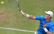 Video Halle Open: Berdych vs Haas, Căng như dây đàn