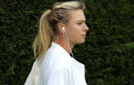 Sharapova lại muốn làm nên lịch sử ở Wimbledon