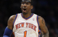 Amar'e Stoudemire bị phạt tiền vì nói xấu người đồng tính