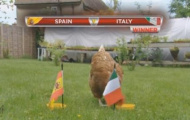 “Tiên tri” Gà dự đoán Italia vô địch