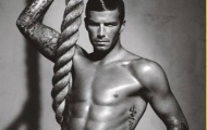 David Beckham: Biểu tượng của dân “gay”