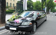 Hoành tráng với xe Limousine đón dâu tại Hà Thành