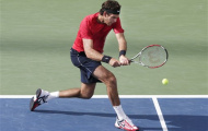Del Potro thừa nhận không bằng Djokovic