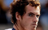 Năm tới, Andy Murray có thể trở thành số 1 thế giới